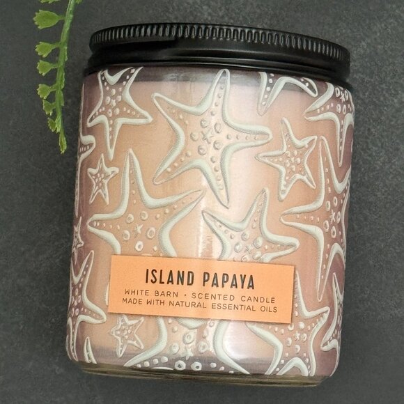 BBW Island Papaya White Barn Bath & Body Works Mason Jar Single Wick Candle - Picture 5 of 10